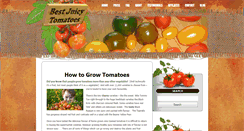 Desktop Screenshot of bestjuicytomatoes.com